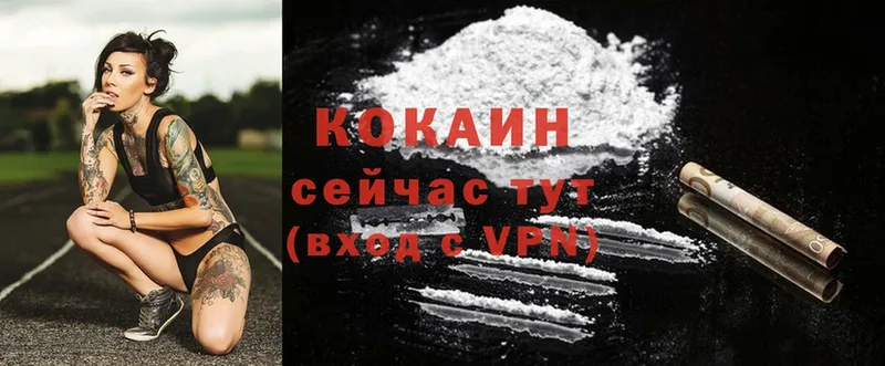 где можно купить наркотик  Далматово  Cocaine VHQ 